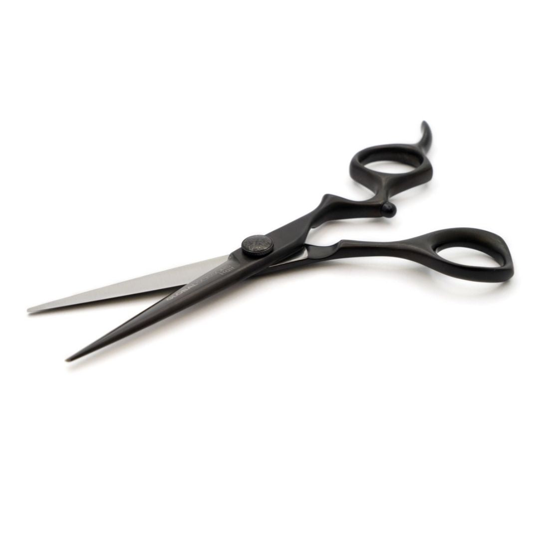 Global Scissors Raven Haircutting Scissors Set