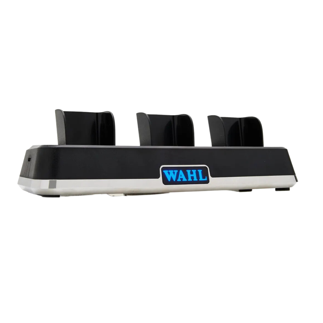 Wahl Gold Power Combo Kit