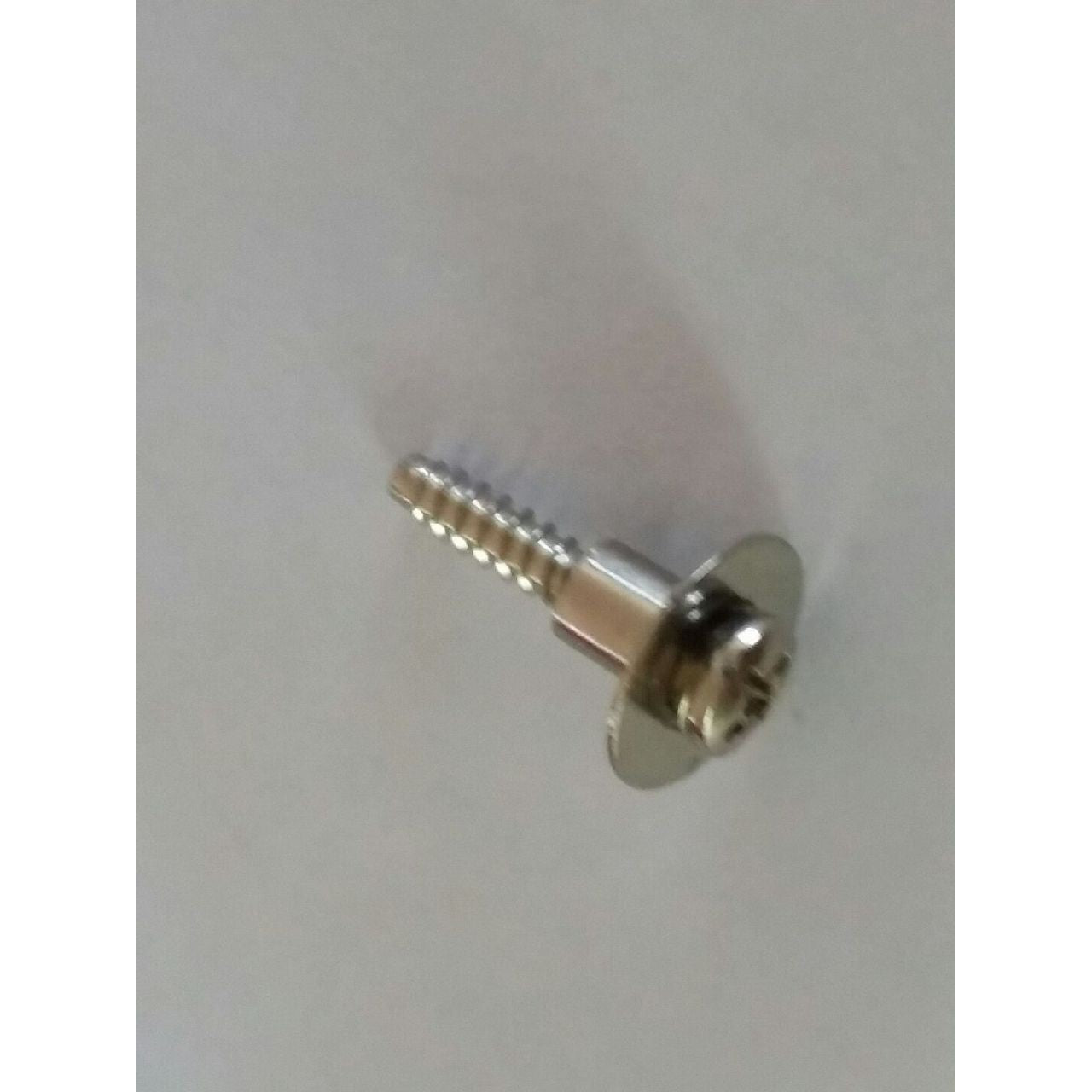 Lever Arm Screw and Washer