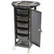 Gemini - 5 Draw - Lockable Door