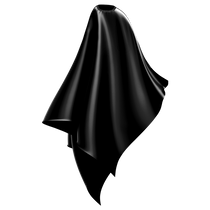 Wahl Polyester Cape Black